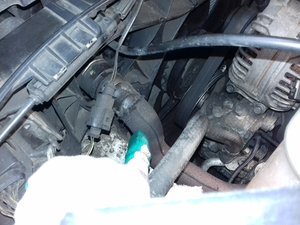 IMG-20161011-WA0007.jpeg