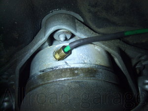 CIMG6548.JPG