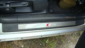 DSC09639.JPG