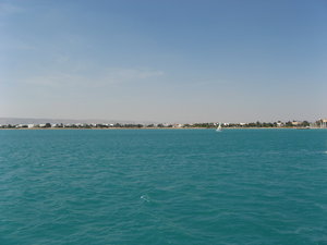 IMG_7835.jpg