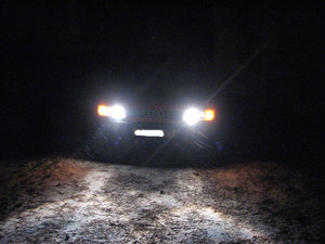 IMG_2598s.jpg