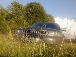 SP_A0557.jpg