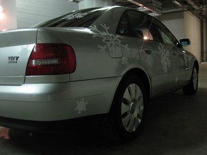 IMG_1341.jpg
