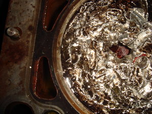 DSC04674_resize.JPG