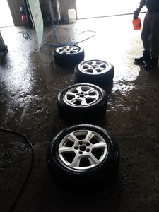 20161015_150523.jpg