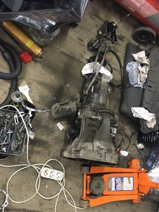 IMG_0537.JPG