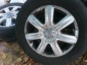 DSC_7688.JPG