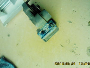 IMG00329.jpg