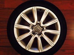 IMG_2435.JPG