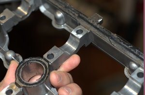DSC_3556.jpg