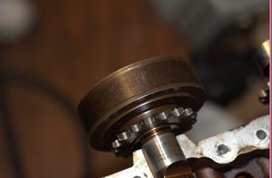 DSC_3561.jpg