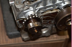 DSC_3562.jpg