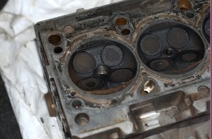 DSC_3565.jpg