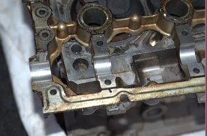 DSC_3567.jpg