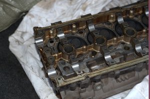 DSC_3568.jpg