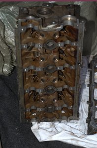 DSC_3573.jpg