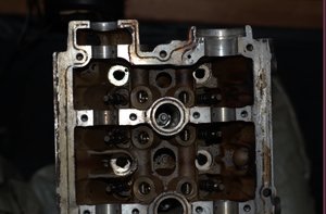 DSC_3574.jpg