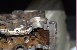 DSC_3579.jpg