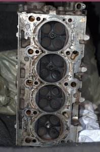 DSC_3582.jpg