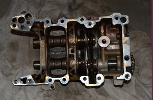 DSC_3586.jpg