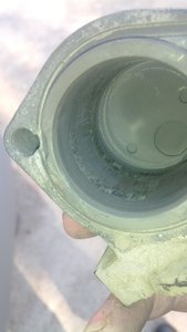 IMG_20160816_162713.jpg