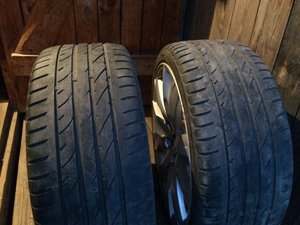 IMG_1901.JPG