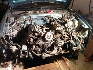 IMG_20160521_225042.jpg