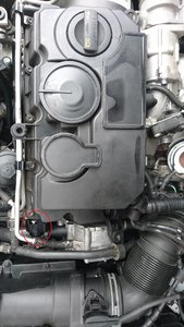 DSC_1311_1.jpg