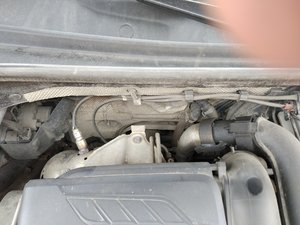 IMG_20161102_131432.jpg