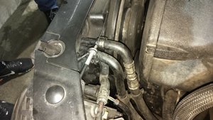 IMG_20161112_123834.jpg