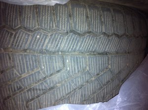 IMG_3984.JPG