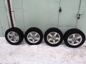 IMG_8773.JPG