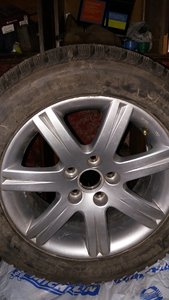 20161030_221546.jpg