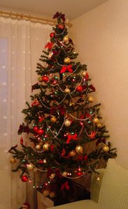 DSC02468++.jpg