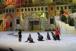 IMG_1767.jpg