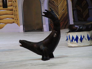 IMG_1787.jpg