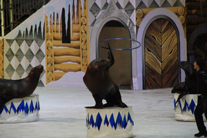 IMG_1792.jpg