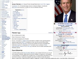 bush.jpg