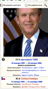 bush.gif