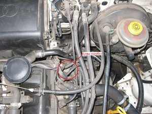 img_0269_small.jpg