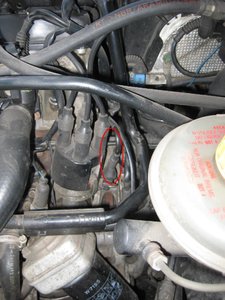 img_0270_small.jpg