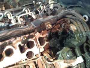 IMG_2016-11-05_131557.jpg