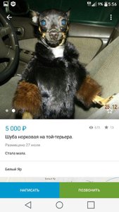 1472032848143290268.jpg