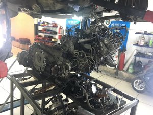 IMG_4154.JPG