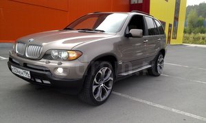 ttn_178386736.jpg