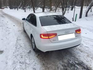 IMG_0015.jpg