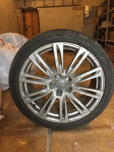 IMG_4556.JPG