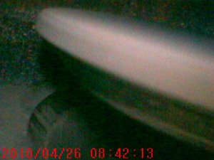 IMG_1199.JPG