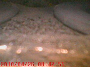 IMG_1201.JPG
