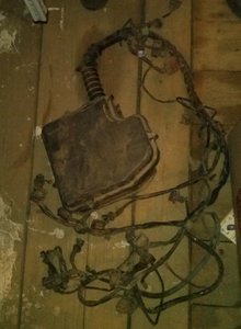 CAM03152.jpg